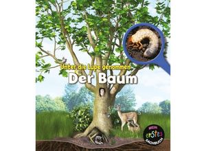 9789463410335 - Der Baum - Richard Spilsbury Gebunden