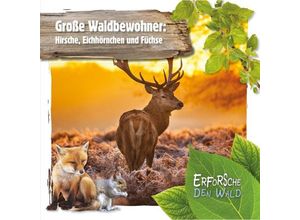 9789463415699 - Große Waldbewohner Hirsche Eichhörnchen und Füchse - Robin Twiddy Gebunden