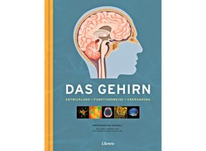 9789463593038 - Das Gehirn - Ken Ashwell Kartoniert (TB)