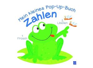 9789463781893 - Mein kleines Pop-Up-Buch   Mein kleines Pop-Up-Buch Zahlen Pappband