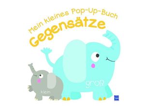 9789463781909 - Mein kleines Pop-Up-Buch   Mein kleines Pop-Up-Buch Gegensätze Pappband