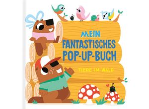 9789464545951 - Mein fantastisches Pop-Up-Buch - Tiere im Wald Pappband