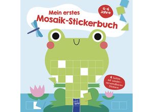 9789464764178 - Mein erstes Mosaik-Stickerbuch 4-6 Jahre (Cover Frosch) Gebunden