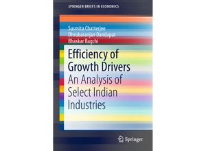 9789811329180 - SpringerBriefs in Economics   Efficiency of Growth Drivers - Susmita Chatterjee Dhrubaranjan Dandapat Bhaskar Bagchi Kartoniert (TB)