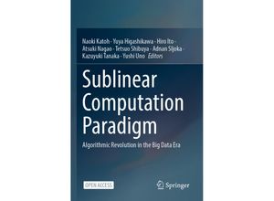 9789811640971 - Sublinear Computation Paradigm Kartoniert (TB)