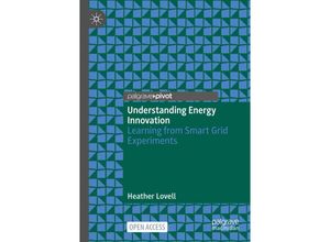 9789811662553 - Understanding Energy Innovation - Heather Lovell Kartoniert (TB)