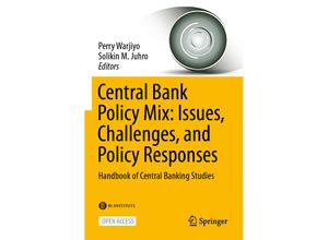 9789811668296 - Central Bank Policy Mix Issues Challenges and Policy Responses Kartoniert (TB)