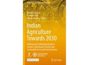 9789811907654 - India Studies in Business and Economics   Indian Agriculture Towards 2030 Kartoniert (TB)