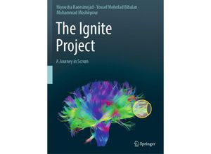 9789811948039 - The Ignite Project - Niyousha Raeesinejad Yousef Mehrdad Bibalan Mohammad Moshirpour Kartoniert (TB)