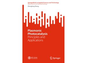 9789811951879 - SpringerBriefs in Applied Sciences and Technology   Plasmonic Photocatalysis - Zhenglong Zhang Kartoniert (TB)