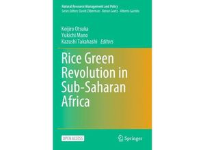 9789811980480 - Rice Green Revolution in Sub-Saharan Africa Kartoniert (TB)