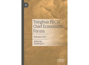 9789811984914 - Tsinghua PBCSF Chief Economists Forum Kartoniert (TB)