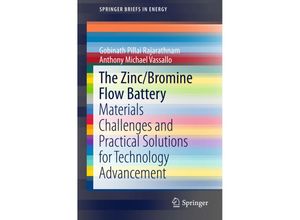 9789812876454 - SpringerBriefs in Energy   The Zinc Bromine Flow Battery - Gobinath Pillai Rajarathnam Anthony Michael Vassallo Kartoniert (TB)