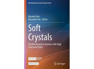 9789819902620 - The Materials Research Society Series   Soft Crystals Kartoniert (TB)