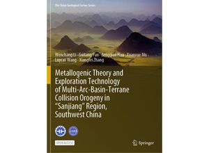 9789819936540 - Metallogenic Theory and Exploration Technology of Multi-Arc-Basin-Terrane Collision Orogeny in Sanjiang Region Southwest China - Wenchang Li Guitang Pan Zengqian Hou Xuanxue Mo Liquan Wang Xiangfei Zhang Kartoniert (TB)