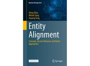 9789819942527 - Big Data Management   Entity Alignment - Xiang Zhao Weixin Zeng Jiuyang Tang Kartoniert (TB)