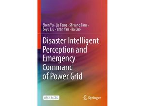 9789819972388 - Disaster Intelligent Perception and Emergency Command of Power Grid - Zhen Yu Jie Feng Shiyang Tang Zeyu Liu Yiran Yan Na Luo Kartoniert (TB)