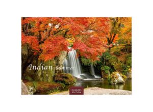 9789918621286 - Indian Summer 2024 S 24x35cm