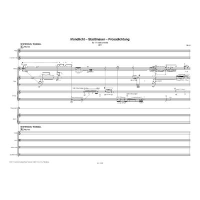 9790003039213 - Mondlicht Stadtmauer Prosadichtung