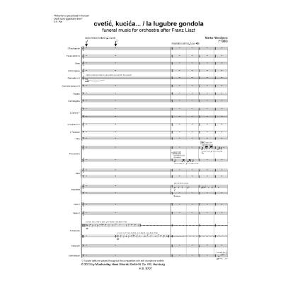 9790003039299 - Cvetic kucica   la lugubre gondola