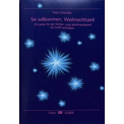 9790007141394 - Sei willkommen Weihnachtszeit