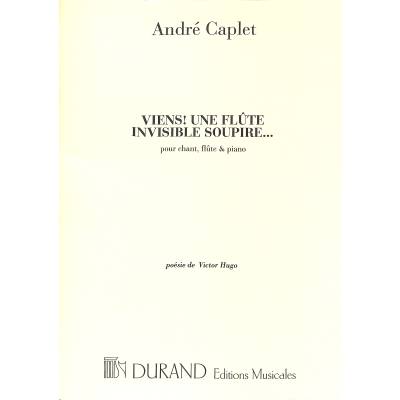 9790044046478 - Viens - une flute invisible soupire