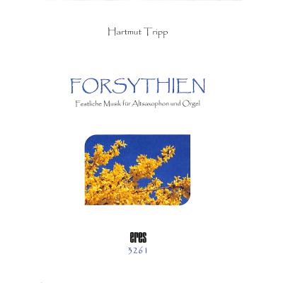 9790202432617 - Forsythien