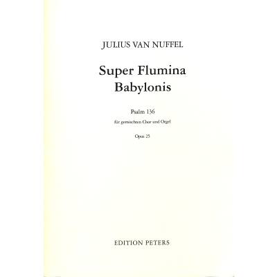 9790203101338 - Super flumina op 25