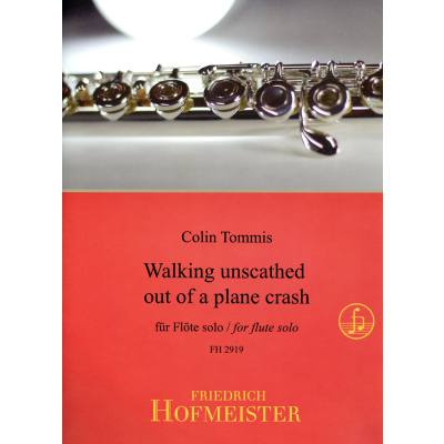 9790203429197 - Walking unscathed out of a plane crash