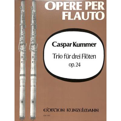 9790206206955 - Trio G-Dur op 24