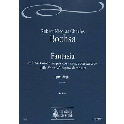 9790215306219 - FANTASIE UEBER NON SO PIU COSA SON COSA FACCIO (MOZART)