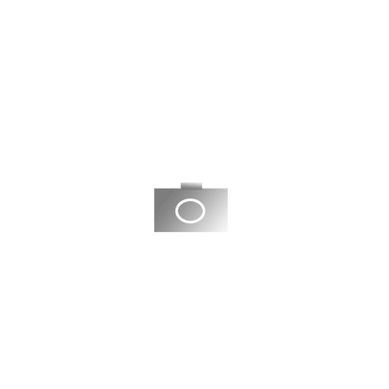 9790215318922 - VARIATIONEN OP 9 UEBER EIN THEMA AUS DER ZAUBERFLOETE 9790215318922 - VARIATIONEN OP 9 UEBER EIN THEMA AUS DER ZAUBERFLOETE