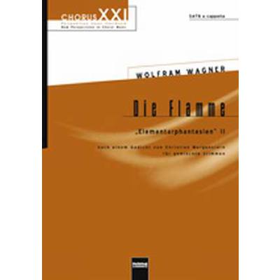 9790500224426 - Die Flamme (Elementarphantasien)