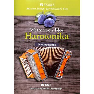 9790500464105 - Harmonika