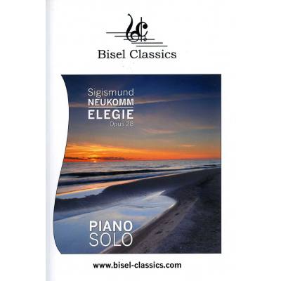 9790501791316 - Elegie op 28