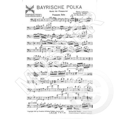 9990090817132 - Bayrische Polka